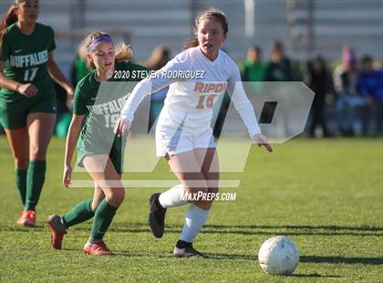 Thumbnail 1 in Ripon @ Manteca photogallery.