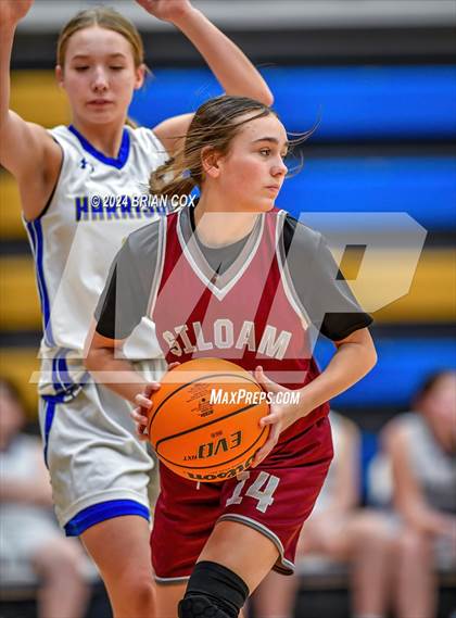 Thumbnail 2 in Siloam Springs @ Harrison (A-Teams) photogallery.