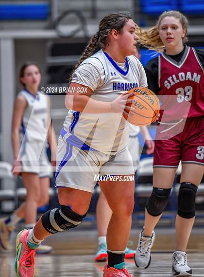 Thumbnail 3 in Siloam Springs @ Harrison (A-Teams) photogallery.