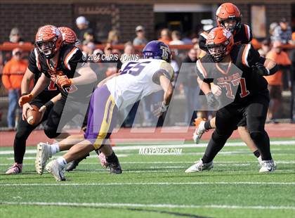 Thumbnail 1 in Taylorville @ Waterloo (IHSA 4A first round) photogallery.