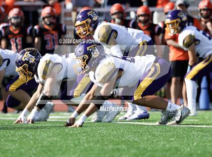 Thumbnail 2 in Taylorville @ Waterloo (IHSA 4A first round) photogallery.