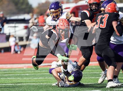 Thumbnail 3 in Taylorville @ Waterloo (IHSA 4A first round) photogallery.
