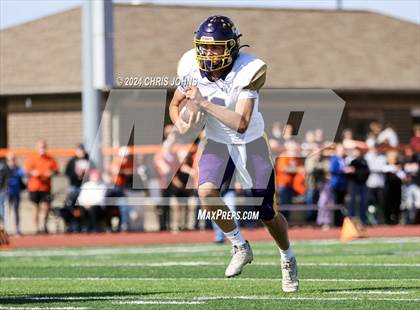 Thumbnail 3 in Taylorville @ Waterloo (IHSA 4A first round) photogallery.