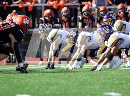 Thumbnail 1 in Taylorville @ Waterloo (IHSA 4A first round) photogallery.