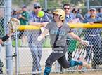 Photo from the gallery "Olympian vs. Helix"