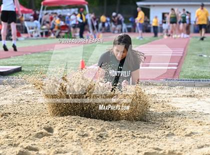 Thumbnail 3 in New Jersey Athletic Conference Meet (Long Jump) photogallery.