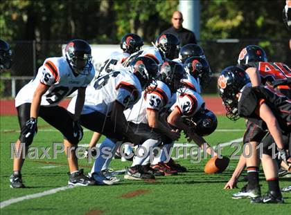 Thumbnail 3 in Stamford @ Ridgefield  photogallery.