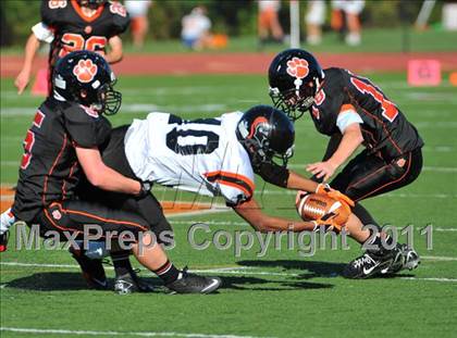 Thumbnail 3 in Stamford @ Ridgefield  photogallery.