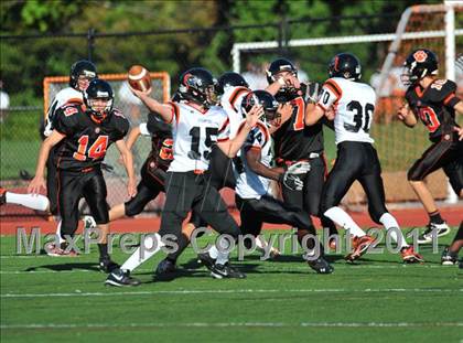 Thumbnail 2 in Stamford @ Ridgefield  photogallery.