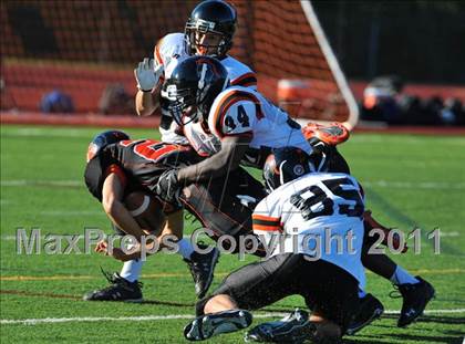 Thumbnail 3 in Stamford @ Ridgefield  photogallery.