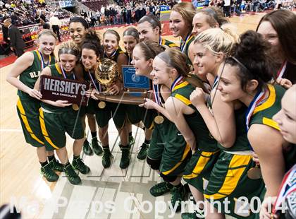 Thumbnail 1 in Archbishop Wood vs. Blackhawk (PIAA Class AAA Final) photogallery.