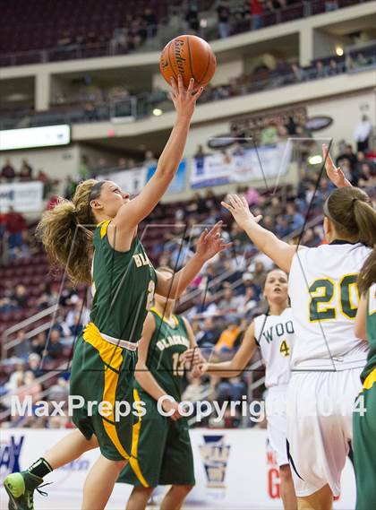 Thumbnail 3 in Archbishop Wood vs. Blackhawk (PIAA Class AAA Final) photogallery.