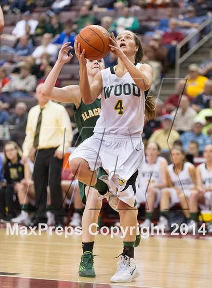 Thumbnail 3 in Archbishop Wood vs. Blackhawk (PIAA Class AAA Final) photogallery.