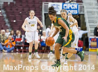 Thumbnail 1 in Archbishop Wood vs. Blackhawk (PIAA Class AAA Final) photogallery.