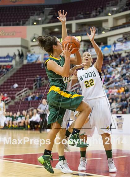 Thumbnail 2 in Archbishop Wood vs. Blackhawk (PIAA Class AAA Final) photogallery.