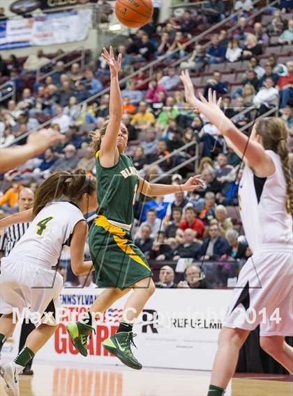 Thumbnail 1 in Archbishop Wood vs. Blackhawk (PIAA Class AAA Final) photogallery.