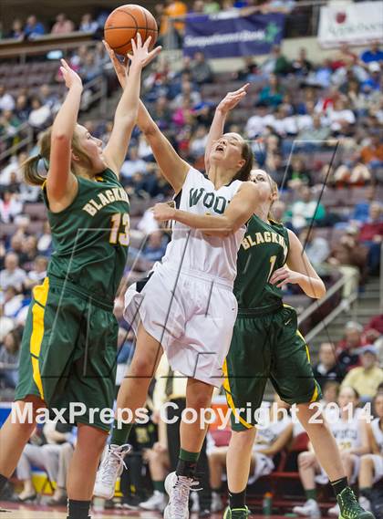 Thumbnail 2 in Archbishop Wood vs. Blackhawk (PIAA Class AAA Final) photogallery.