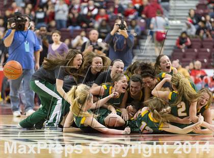 Thumbnail 1 in Archbishop Wood vs. Blackhawk (PIAA Class AAA Final) photogallery.