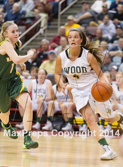Thumbnail 1 in Archbishop Wood vs. Blackhawk (PIAA Class AAA Final) photogallery.