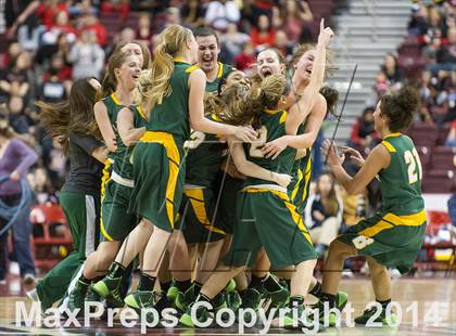 Thumbnail 1 in Archbishop Wood vs. Blackhawk (PIAA Class AAA Final) photogallery.