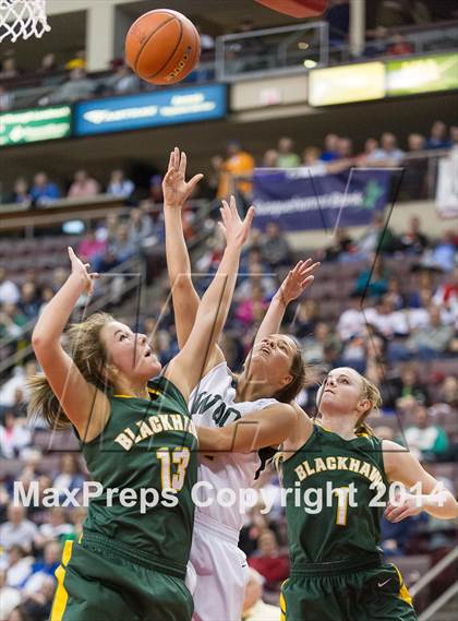 Thumbnail 3 in Archbishop Wood vs. Blackhawk (PIAA Class AAA Final) photogallery.