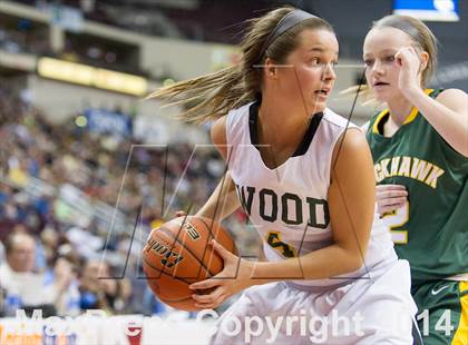 Thumbnail 1 in Archbishop Wood vs. Blackhawk (PIAA Class AAA Final) photogallery.