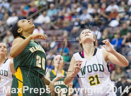 Thumbnail 1 in Archbishop Wood vs. Blackhawk (PIAA Class AAA Final) photogallery.