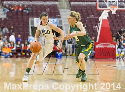 Thumbnail 1 in Archbishop Wood vs. Blackhawk (PIAA Class AAA Final) photogallery.