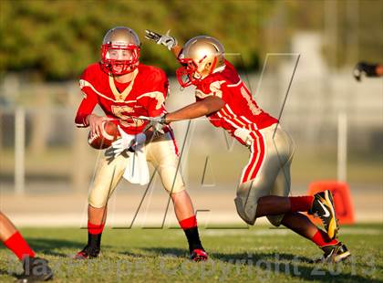 Thumbnail 3 in JV: Santa Barbara @ Centennial photogallery.