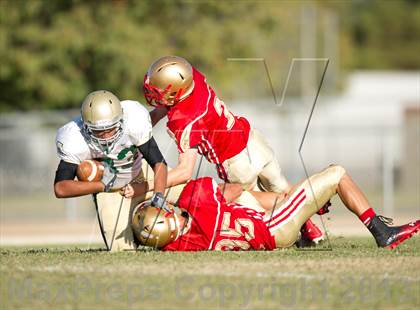 Thumbnail 2 in JV: Santa Barbara @ Centennial photogallery.