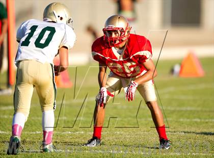 Thumbnail 3 in JV: Santa Barbara @ Centennial photogallery.