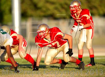 Thumbnail 2 in JV: Santa Barbara @ Centennial photogallery.