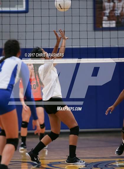 Thumbnail 3 in Baldwin County @ Fairhope photogallery.