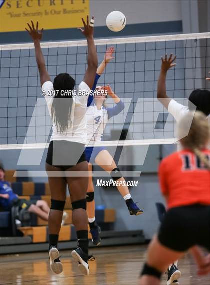 Thumbnail 1 in Baldwin County @ Fairhope photogallery.