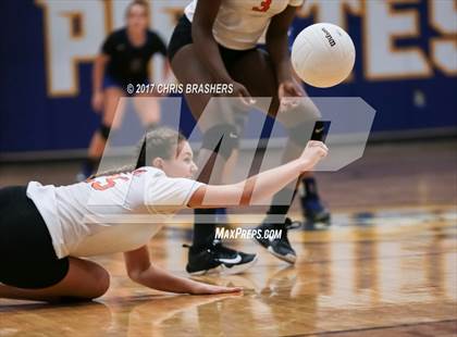 Thumbnail 3 in Baldwin County @ Fairhope photogallery.