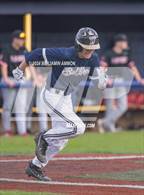 Photo from the gallery "West Albany @ South Albany"