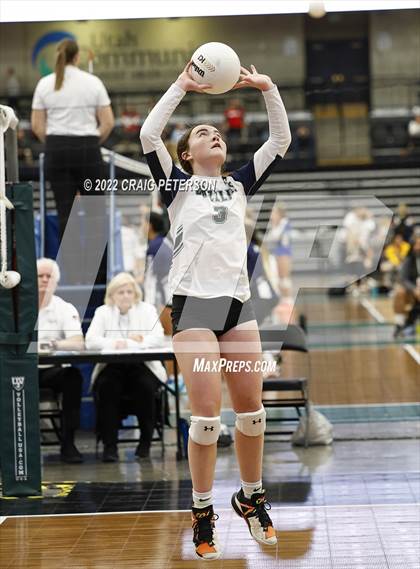 Thumbnail 1 in Copper Hills vs. Davis (UHSAA 6A Consolation Semifinal) photogallery.