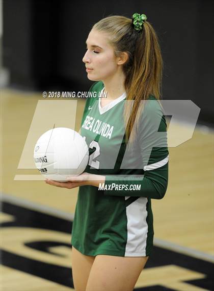 Thumbnail 1 in Brea Olinda @ Foothill photogallery.
