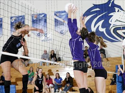 Thumbnail 3 in Fort Collins @ Grandview photogallery.