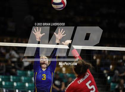 Thumbnail 2 in McClave vs. Weldon Valley (CHSAA 1A Round 2) photogallery.
