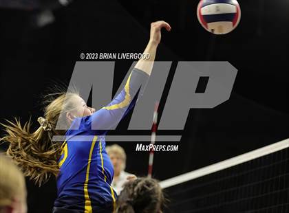 Thumbnail 2 in McClave vs. Weldon Valley (CHSAA 1A Round 2) photogallery.