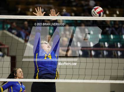 Thumbnail 2 in McClave vs. Weldon Valley (CHSAA 1A Round 2) photogallery.
