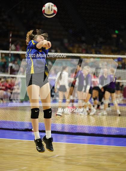 Thumbnail 3 in McClave vs. Weldon Valley (CHSAA 1A Round 2) photogallery.