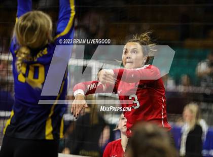 Thumbnail 1 in McClave vs. Weldon Valley (CHSAA 1A Round 2) photogallery.
