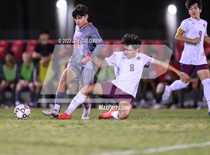 Thumbnail 3 in Lee vs Marshall photogallery.