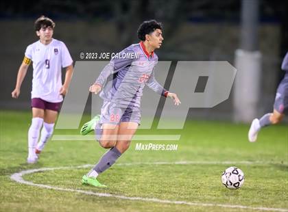 Thumbnail 2 in Lee vs Marshall photogallery.