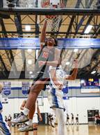 Photo from the gallery "Douglas @ McQueen"