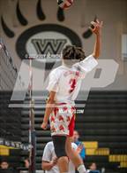 Photo from the gallery "Mt. Carmel @ Westview"