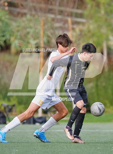 null - Photo 01