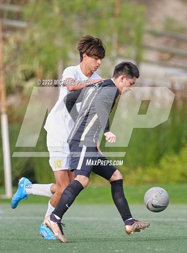 null - Photo 11